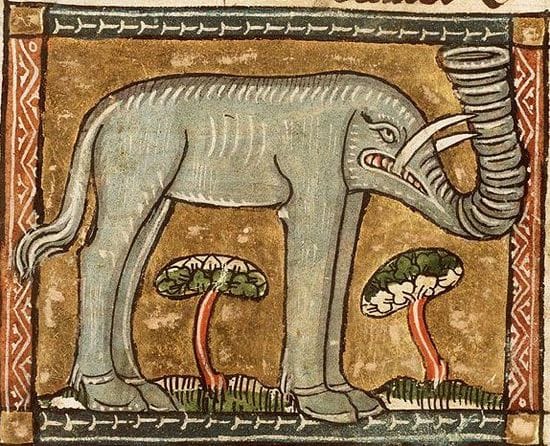 A figure of a poor, poor marginalised elephant…